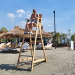 Fred Oldenburger - @fredoldenburger - Instagram