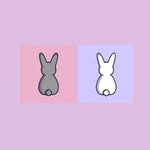 Fred & Ollie 🐰🐇 - @bunny_besties_2 - Instagram