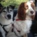 Fred and Ollie Mollie - Facebook