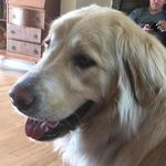 Fred Olson - @fred1944 - Instagram
