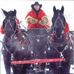 Fred Olson - Facebook
