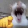 freddieorchard - @freddieorchard - TikTok