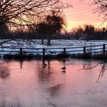 Fred normand - @frednormand4 - Instagram