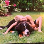 Fred Normand - @frednormand - Instagram