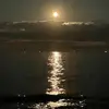 Freder Orozco - @freder.orozco - TikTok