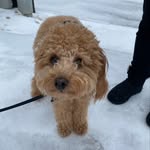 @fred_orrell - Instagram