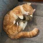 Frederick Zhu - @fred_or_rick_zhu - Instagram
