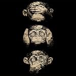 FredoRR - @fredobird - Instagram