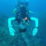 Frederik Orthmann - @fred_orthmann - Instagram