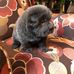 Fred Osten - Facebook