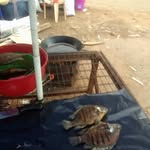 Fred Otiso - @fred.otiso.756952 - Instagram