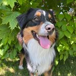 OTIS & FRED - @otis_och_fred - Instagram