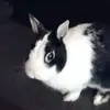 Fred Otte - @fred.otte0 - TikTok