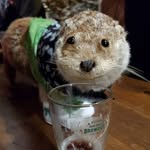 Fred Otterton - @fredotterton204 - Instagram