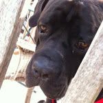 @fredotte22 - Instagram