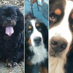 Fred Ottenhoff - @ottenhofffred - Instagram
