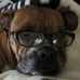 Fred Orfield - Facebook