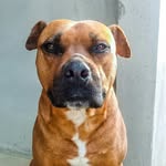 Fred Pacífico - @fred_monstro99 - Instagram