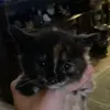 Fred - @fredpad - TikTok