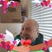 Fred Paddock - Facebook