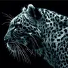 freddypainter - @freddypainter81 - TikTok