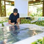 Fred Palermo - @freddiepalermo - Instagram