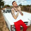 Fred De Palma - @freddepalma08 - TikTok