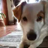 Fred Palma - @fred.palma7 - TikTok