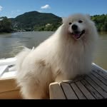 @fred_palmas - Instagram
