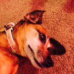 Fredward - @fredwardlovespancakes - Instagram