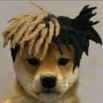 @fred_pango - Instagram