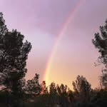 Frédéric Panget - @fred.panget - Instagram