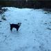 Fred Parson - Facebook