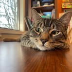 Fred Parton - Facebook