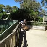 Fred Patten - @fred.patten.9 - Instagram