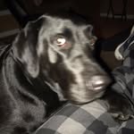 Fred Patterson - @fred.patterson.5220 - Instagram