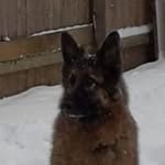 Fred Patterson - @fred.patterson.503 - Instagram