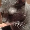 Fred Patty - @fred.patty - TikTok