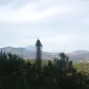 Fred Patzan - @fredpatzan - TikTok