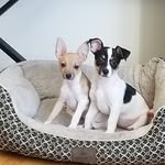 Fred Pauley - @pauleyfred - Instagram