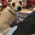 Fred Pauley - Facebook