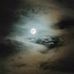 Fred Pauley - Facebook