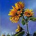 Fred K. Paulson - Facebook