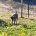 Fred Payne - Facebook