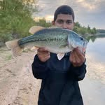 Fred Peace - @fredpeace68 - Instagram