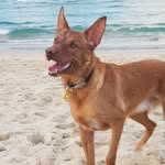 Fred Pearce - @experientialholidays - Instagram