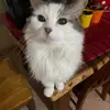 fred pearce - @fred.pearce32 - TikTok