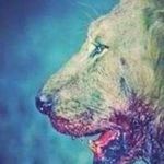 Fred Pearl - @fredpearl - Instagram