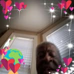 Fred Pearsall - Facebook