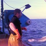 Frederic Vinas-arto - @fredpecheur - Instagram